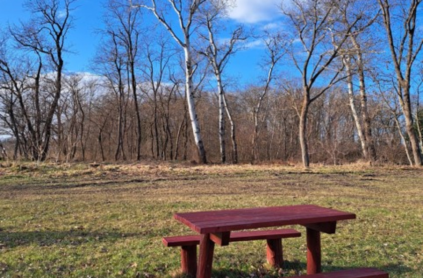 Erdős terület újul meg Ikrényben